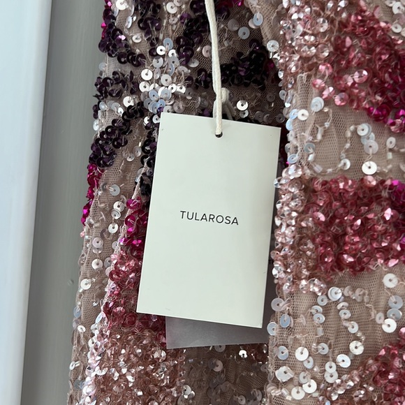 Tularosa Bellini Sequin Dress in Cherry Blossom - Picture 8 of 10